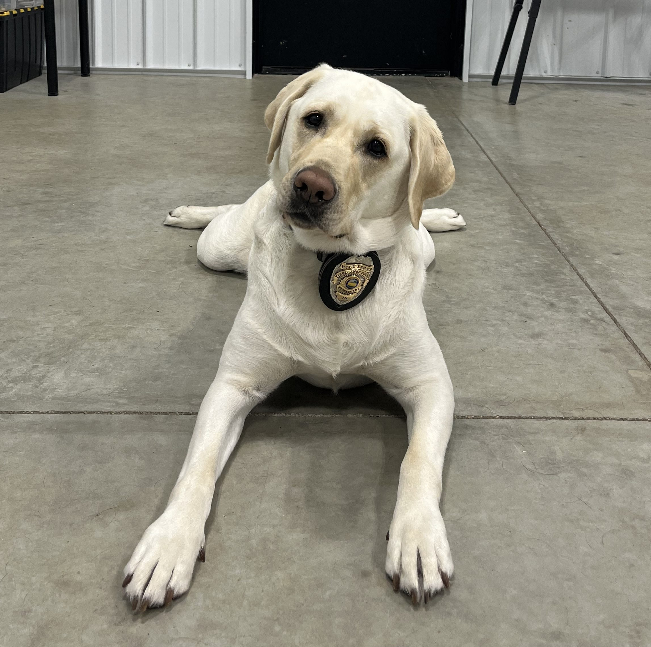 ESD Roger assists Justice Department with Dyer Man Case