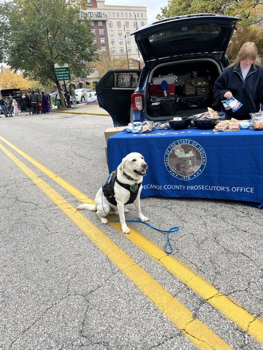 Trunk or Treat with the TCPO